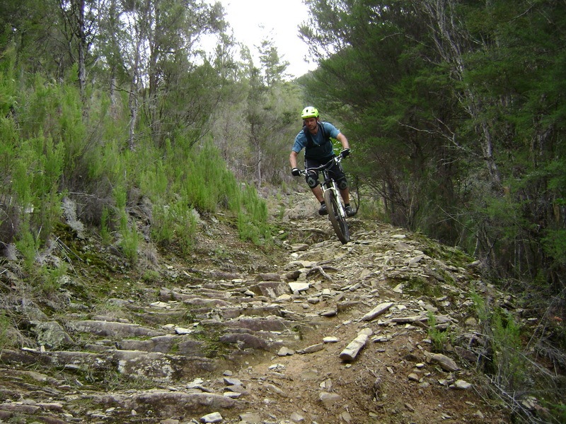 mountain biker on the Wakamarina Track with Helibike Nelson