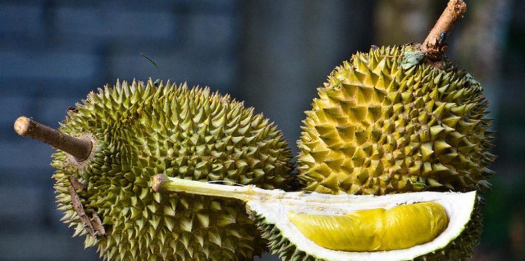 Durian cut open crazy foods to try in southeast asia