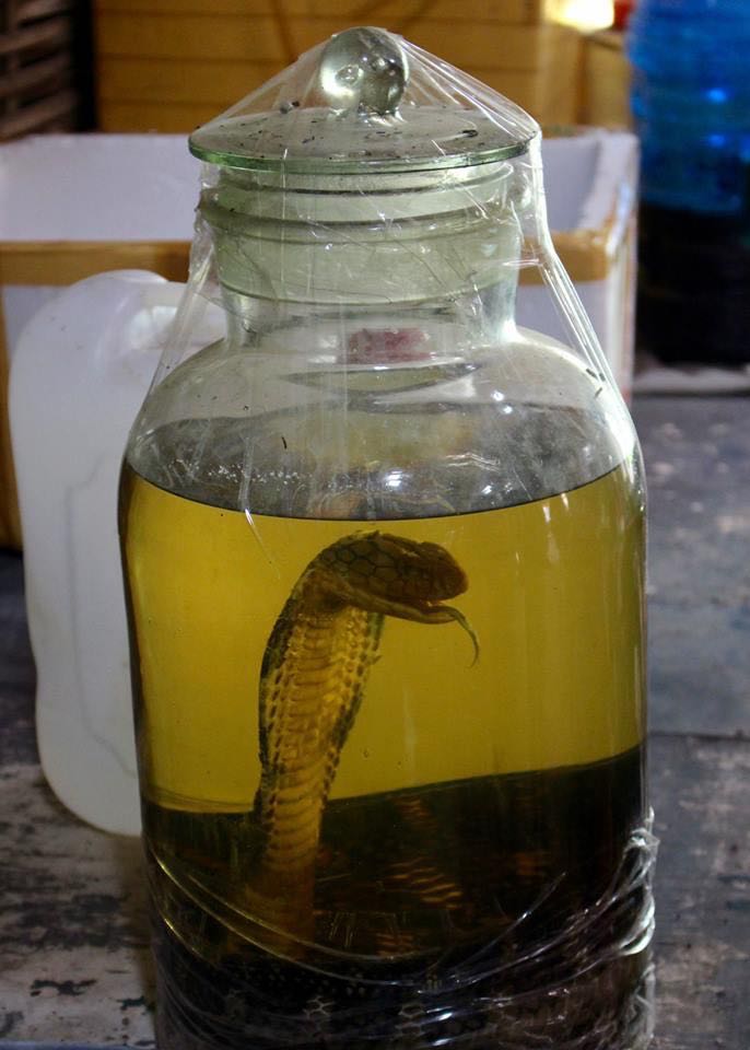 Snake Wine, crazy foods to try in asia