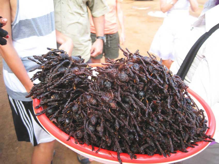 Tarantula, crazy foods in asia