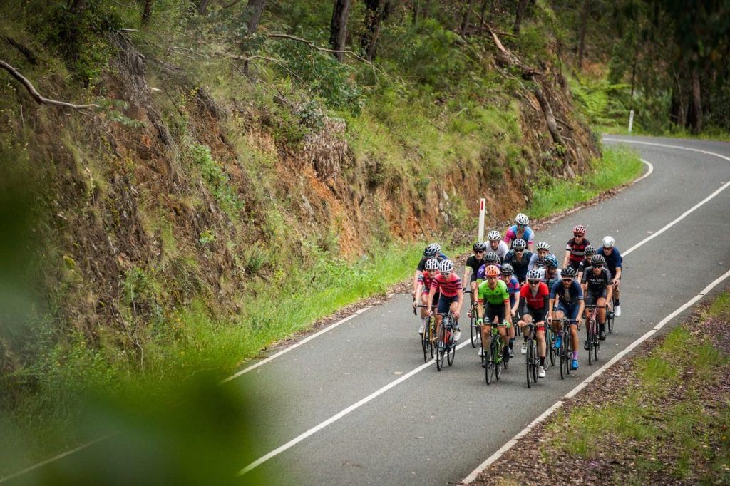 Cyclist climb the Reefton Spur on Giro Della Donna