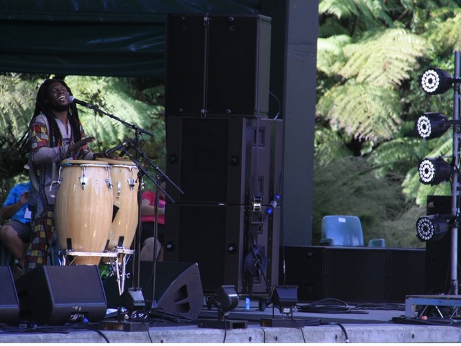 WOMAD New Zealand bongo drums