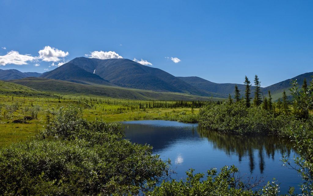 hiking in Canada in the Ivvavik National Park, Yukon