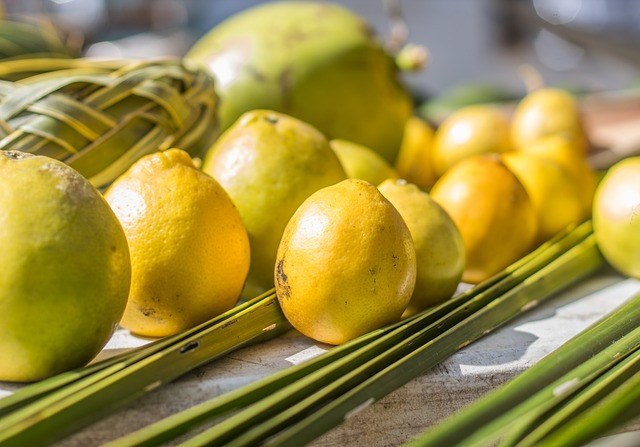 Student Travel farmers market in hawaii 