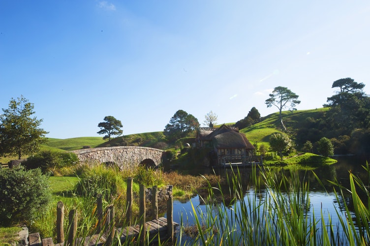 best things to do in New Zealand visit hobbiton