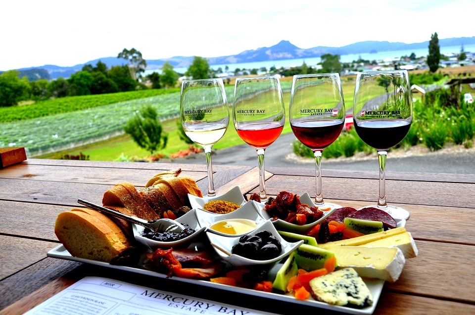 Best Things To Do In New Zealand go on a wine tour