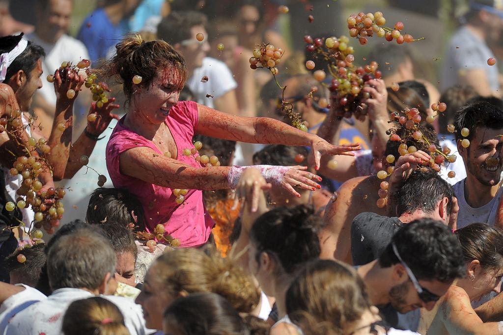 Grape Throwing Festival 2023 - Rad Season