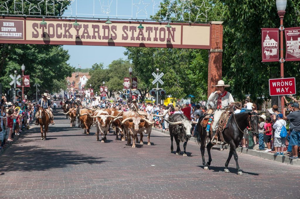 National Day of the American Cowboy - What's Up Fort Worth