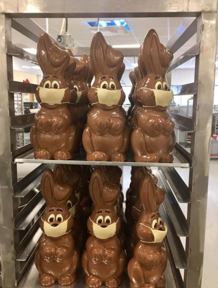 Quarantine easter bunnies