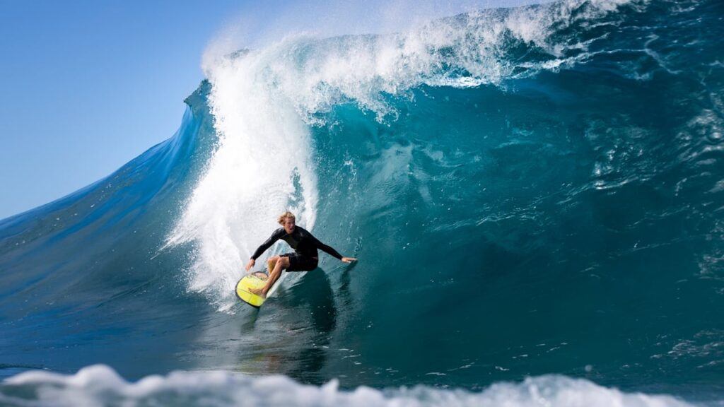 John John Florence agent Lowell Taub